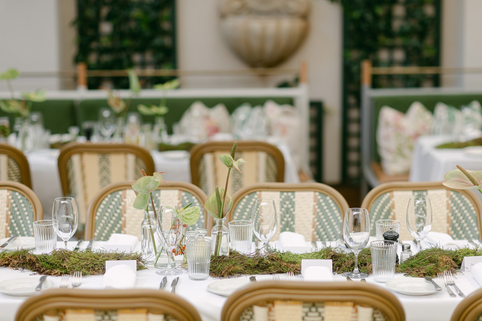 Canamo brand showcase 4 - Piccolo PR